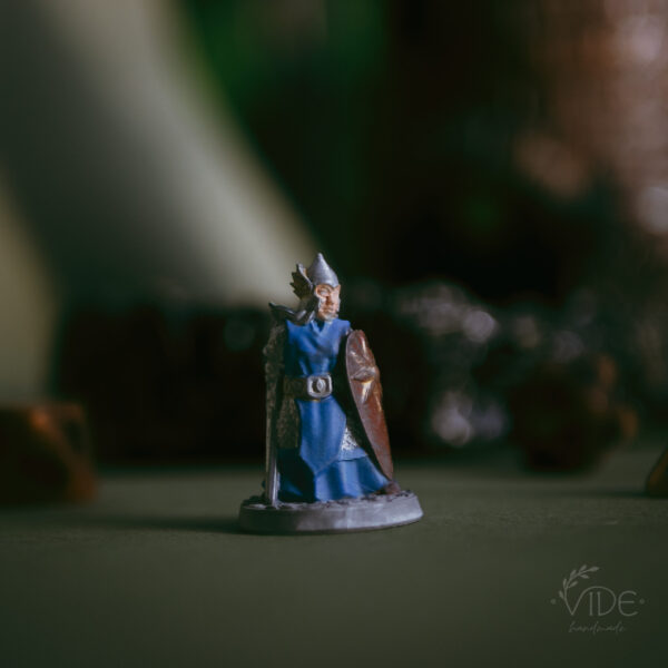 Elf strażnik/ rycerz