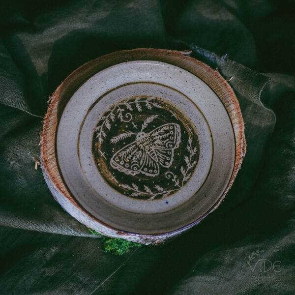 Talerzyk Child of Fern